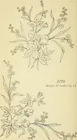 Picture 234 of 389 from Briggs' patent transferring designs (1880), leaf 137