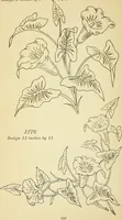 Picture 236 of 389 from Briggs' patent transferring designs (1880), leaf 139
