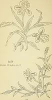 Picture 238 of 389 from Briggs' patent transferring designs (1880), leaf 141