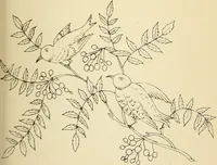 Picture 239 of 389 from Briggs' patent transferring designs (1880), leaf 142