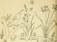 Picture 240 of 389 from Briggs' patent transferring designs (1880), leaf 143
