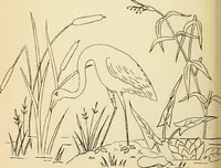 Picture 241 of 389 from Briggs' patent transferring designs (1880), leaf 143