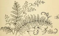An illustration from Briggs' patent transferring designs (1880)