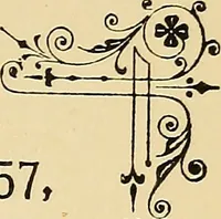 Picture 250 of 389 from Briggs' patent transferring designs (1880), leaf 148