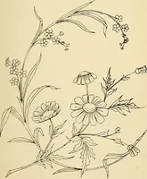Picture 251 of 389 from Briggs' patent transferring designs (1880), leaf 148