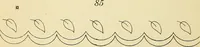 Picture 20 of 389 from Briggs' patent transferring designs (1880), leaf 15