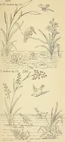 Picture 253 of 389 from Briggs' patent transferring designs (1880), leaf 150