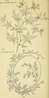 Picture 257 of 389 from Briggs' patent transferring designs (1880), leaf 153