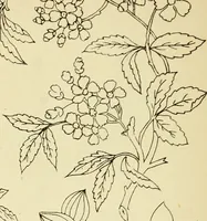 Picture 259 of 389 from Briggs' patent transferring designs (1880), leaf 155