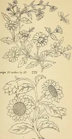 Picture 261 of 389 from Briggs' patent transferring designs (1880), leaf 156