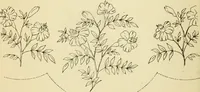 Picture 275 of 389 from Briggs' patent transferring designs (1880), leaf 167