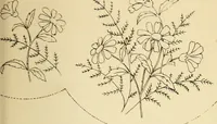 Picture 276 of 389 from Briggs' patent transferring designs (1880), leaf 168