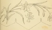 Picture 278 of 389 from Briggs' patent transferring designs (1880), leaf 168