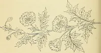 Picture 280 of 389 from Briggs' patent transferring designs (1880), leaf 169