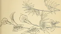 Picture 281 of 389 from Briggs' patent transferring designs (1880), leaf 170