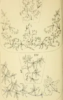 Picture 286 of 389 from Briggs' patent transferring designs (1880), leaf 173