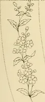 Picture 301 of 389 from Briggs' patent transferring designs (1880), leaf 182
