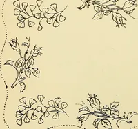 Picture 304 of 389 from Briggs' patent transferring designs (1880), leaf 183