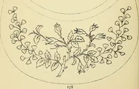 Picture 308 of 389 from Briggs' patent transferring designs (1880), leaf 185