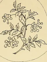 Picture 309 of 389 from Briggs' patent transferring designs (1880), leaf 186