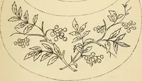 Picture 310 of 389 from Briggs' patent transferring designs (1880), leaf 186