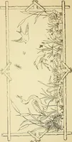 An illustration from Briggs' patent transferring designs (1880)
