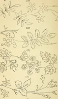Picture 27 of 389 from Briggs' patent transferring designs (1880), leaf 19