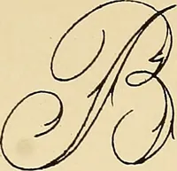 Picture 318 of 389 from Briggs' patent transferring designs (1880), leaf 194