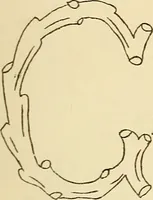 Picture 325 of 389 from Briggs' patent transferring designs (1880), leaf 196