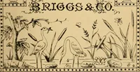 Picture 336 of 389 from Briggs' patent transferring designs (1880), leaf 200