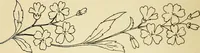 Picture 29 of 389 from Briggs' patent transferring designs (1880), leaf 21