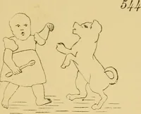 Picture 367 of 389 from Briggs' patent transferring designs (1880), leaf 213
