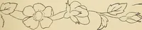 Picture 36 of 389 from Briggs' patent transferring designs (1880), leaf 22