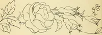 Picture 39 of 389 from Briggs' patent transferring designs (1880), leaf 23