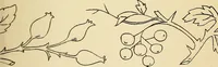 Picture 42 of 389 from Briggs' patent transferring designs (1880), leaf 24