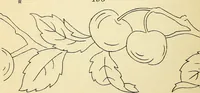Picture 48 of 389 from Briggs' patent transferring designs (1880), leaf 27