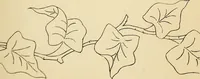 Picture 51 of 389 from Briggs' patent transferring designs (1880), leaf 28