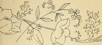 Picture 68 of 389 from Briggs' patent transferring designs (1880), leaf 36