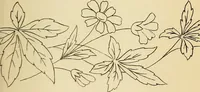 Picture 69 of 389 from Briggs' patent transferring designs (1880), leaf 36