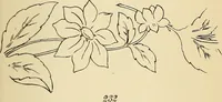 Picture 75 of 389 from Briggs' patent transferring designs (1880), leaf 38