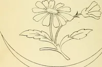 Picture 78 of 389 from Briggs' patent transferring designs (1880), leaf 39