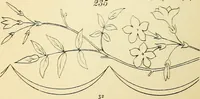 Picture 79 of 389 from Briggs' patent transferring designs (1880), leaf 39