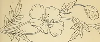 Picture 80 of 389 from Briggs' patent transferring designs (1880), leaf 40