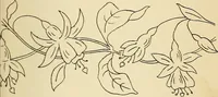 Picture 81 of 389 from Briggs' patent transferring designs (1880), leaf 40