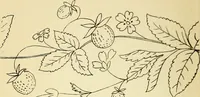 Picture 83 of 389 from Briggs' patent transferring designs (1880), leaf 41
