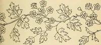 Picture 86 of 389 from Briggs' patent transferring designs (1880), leaf 42