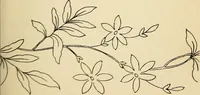 Picture 87 of 389 from Briggs' patent transferring designs (1880), leaf 42