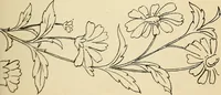 Picture 91 of 389 from Briggs' patent transferring designs (1880), leaf 44