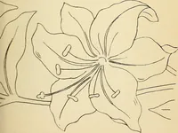 An illustration from Briggs' patent transferring designs (1880)