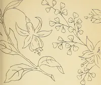 Picture 116 of 389 from Briggs' patent transferring designs (1880), leaf 56